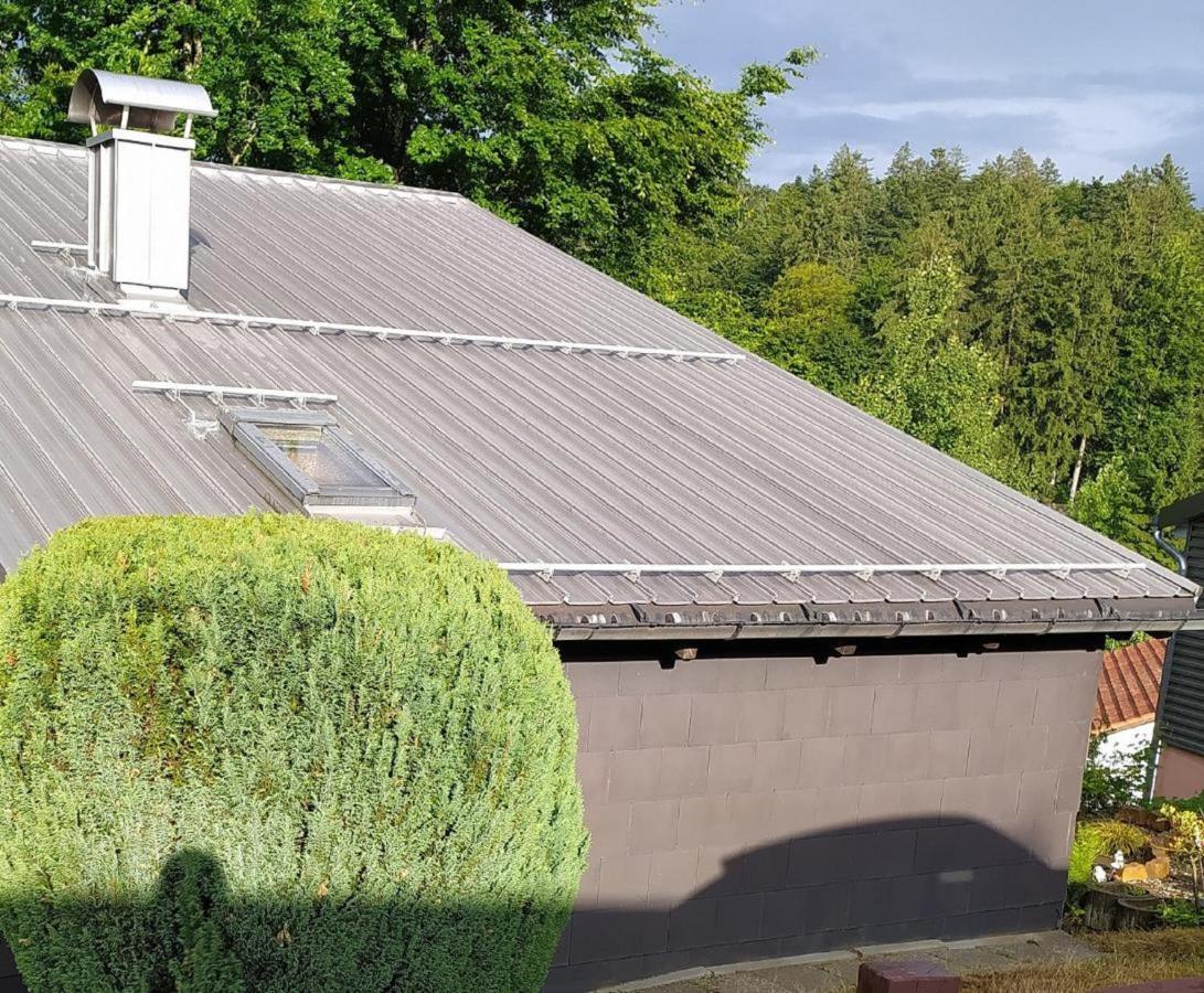 Villa Freyunger Berghaus Exterior foto